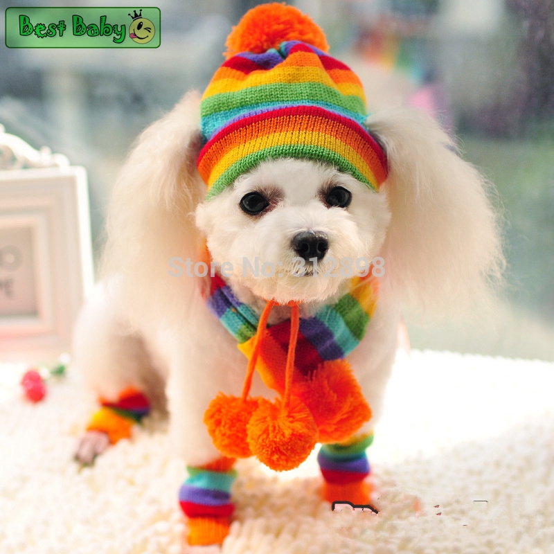 Winter Pet Puppy Accessories F - Baby Products Best review and price